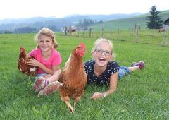 Zwei Kinder mit Hühnern auf dem Bauernhof im Allgäu
