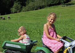 Kinder fahren mit dem Spieltraktor auf dem Bauernhof im Allgäu