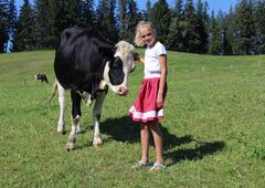 Mädchen mit Kuh auf dem Bauernhof im Oberallgäu
