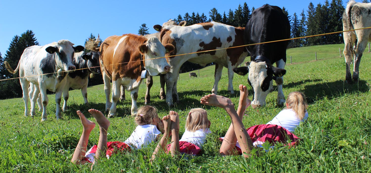 Kinder vor jungen Kühen auf dem Bauernhof im Oberallgäu
