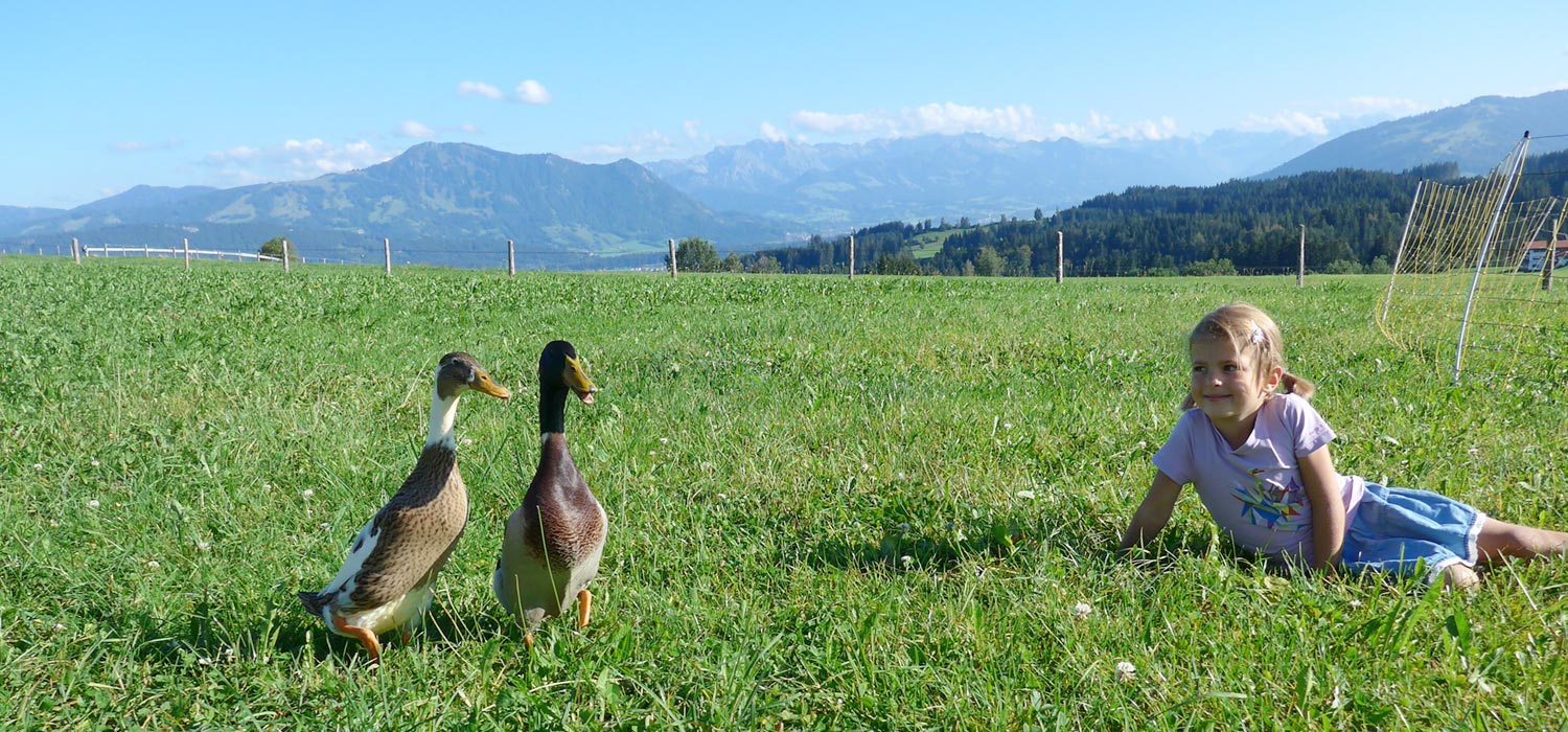 Bauernhof mit Enten im Oberallgäu