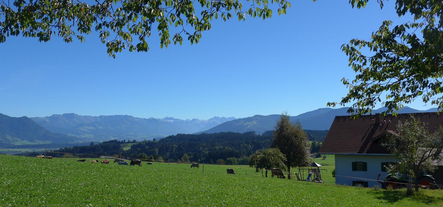 Ferienhof im Oberallgäu mit Blick auf die Berge und Natur