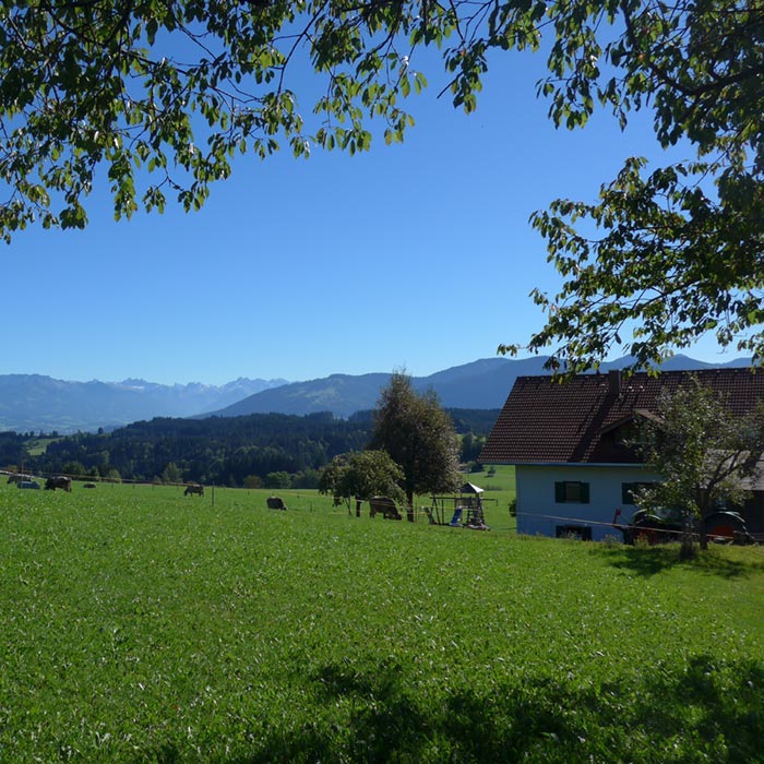 Ferienhof im Oberallgäu mit Blick auf die Berge